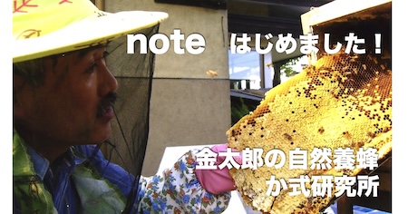 noteの見出し画像 noteの見出し画像